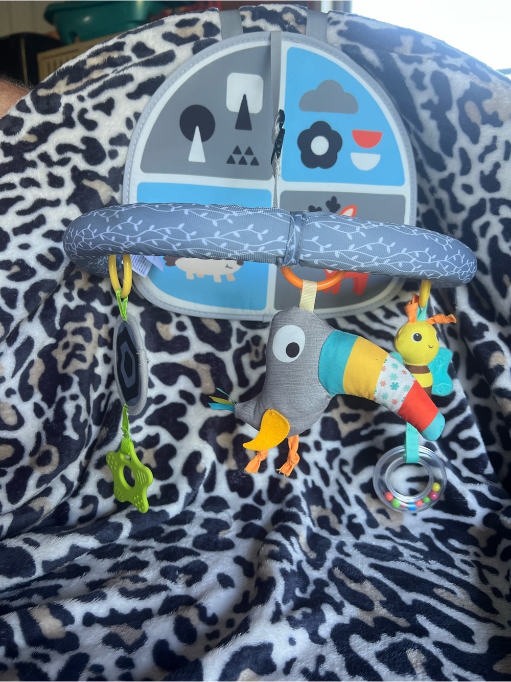 Sozzy Baby Car Seat Activity Arch Designed for Rear-facing Car Seats